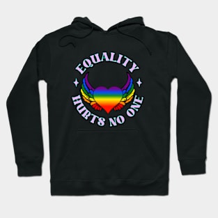 LGBTQ Heart Wings Pink Rainbow Equality Hoodie